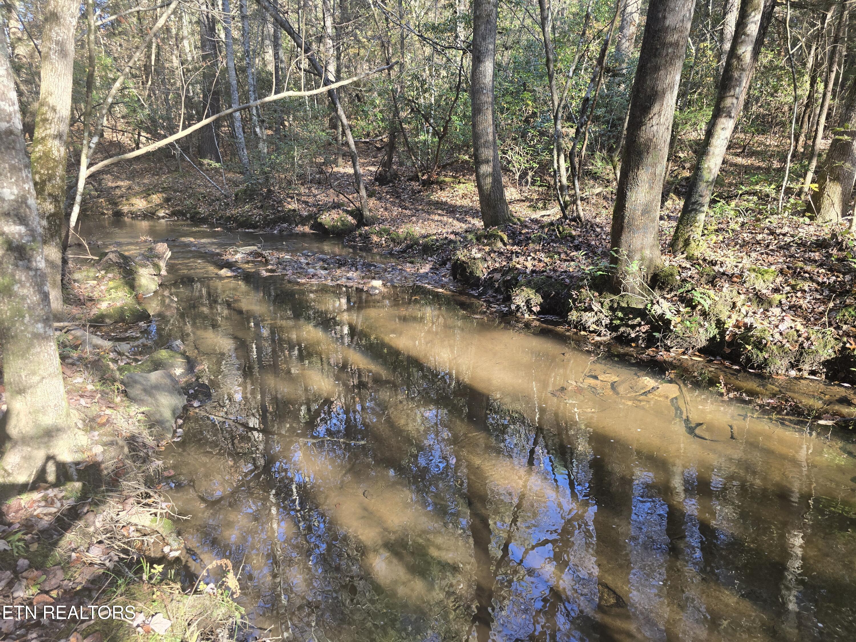 373 Georgee Road Jamestown, TN 38556 - Photo 14 of 30 20251106_140559