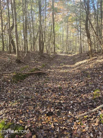 $34,900 | 373 Georgee Road, Jamestown, TN 38556