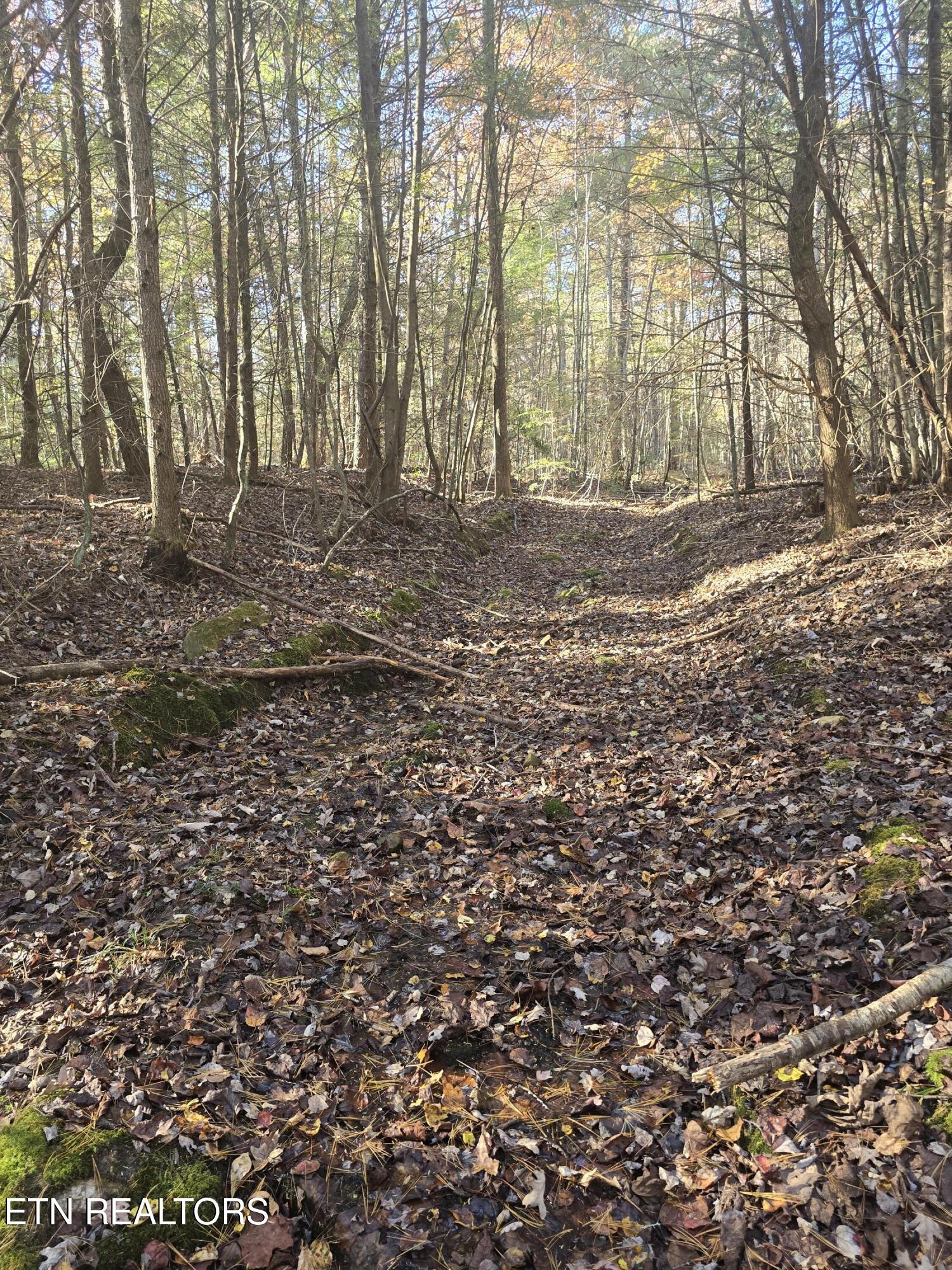 373 Georgee Road Jamestown, TN 38556 - Photo 15 of 30 20251106_140624