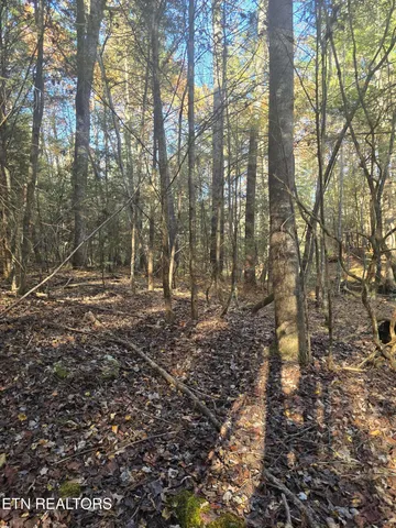 $34,900 | 373 Georgee Road, Jamestown, TN 38556