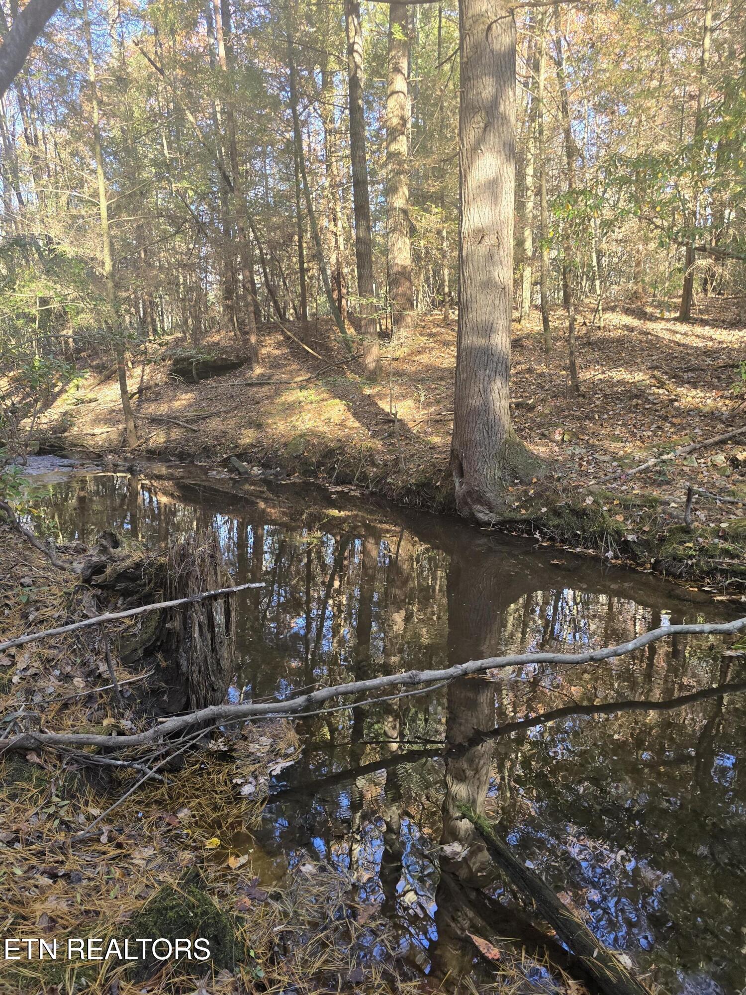 373 Georgee Road Jamestown, TN 38556 - Photo 18 of 30 20251106_140811