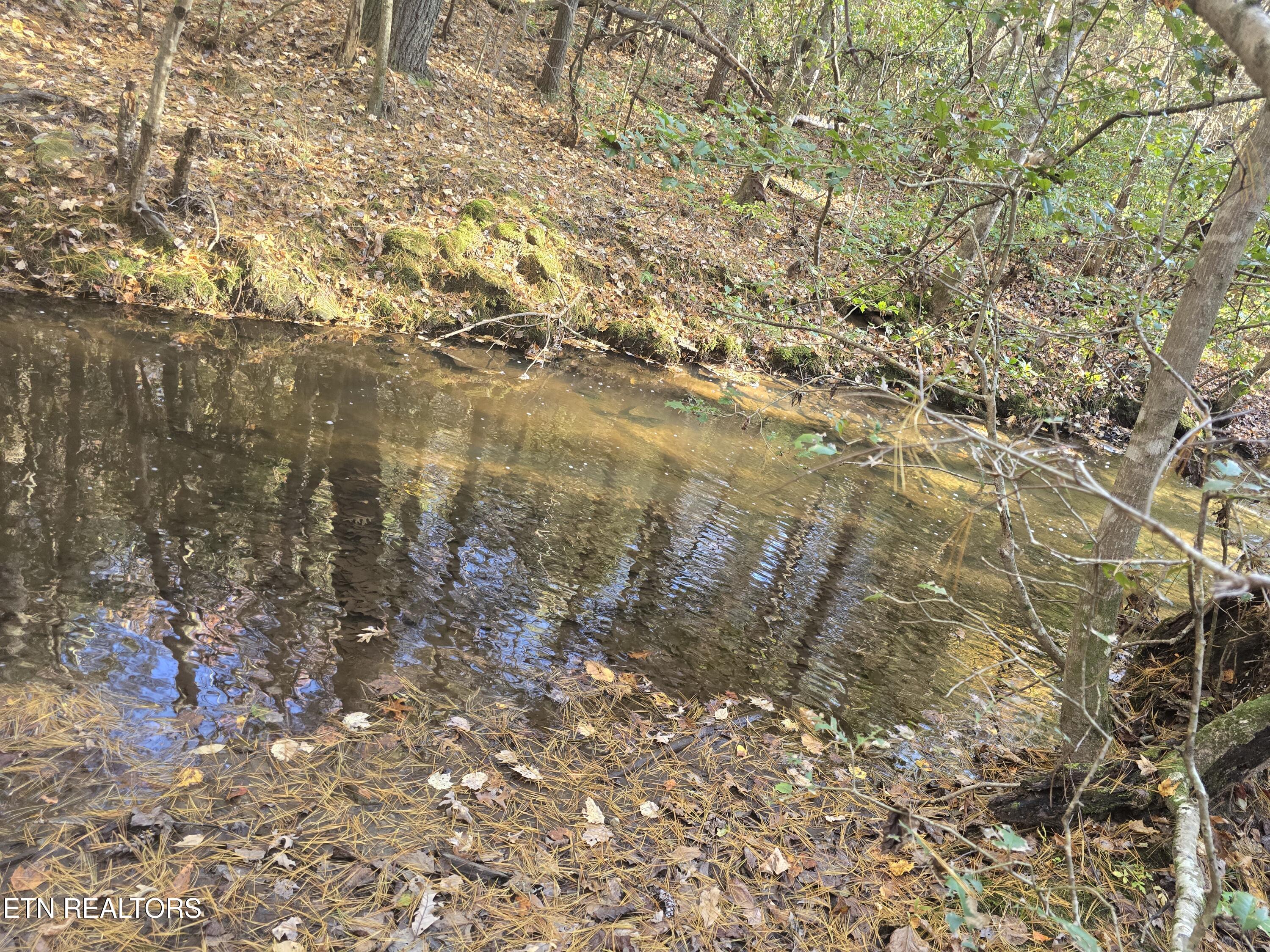 373 Georgee Road Jamestown, TN 38556 - Photo 19 of 30 20251106_140815