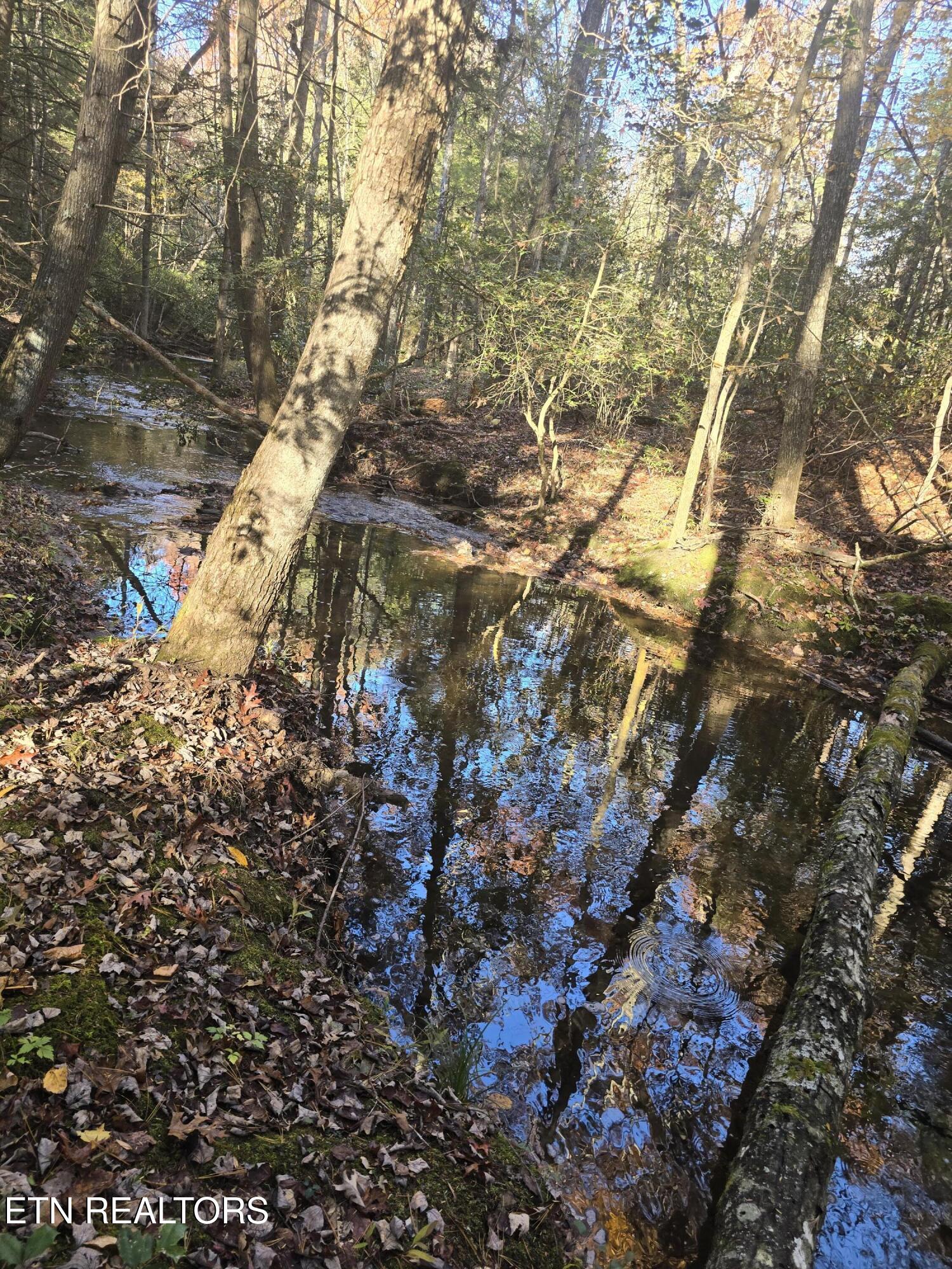 373 Georgee Road Jamestown, TN 38556 - Photo 21 of 30 20251106_141001