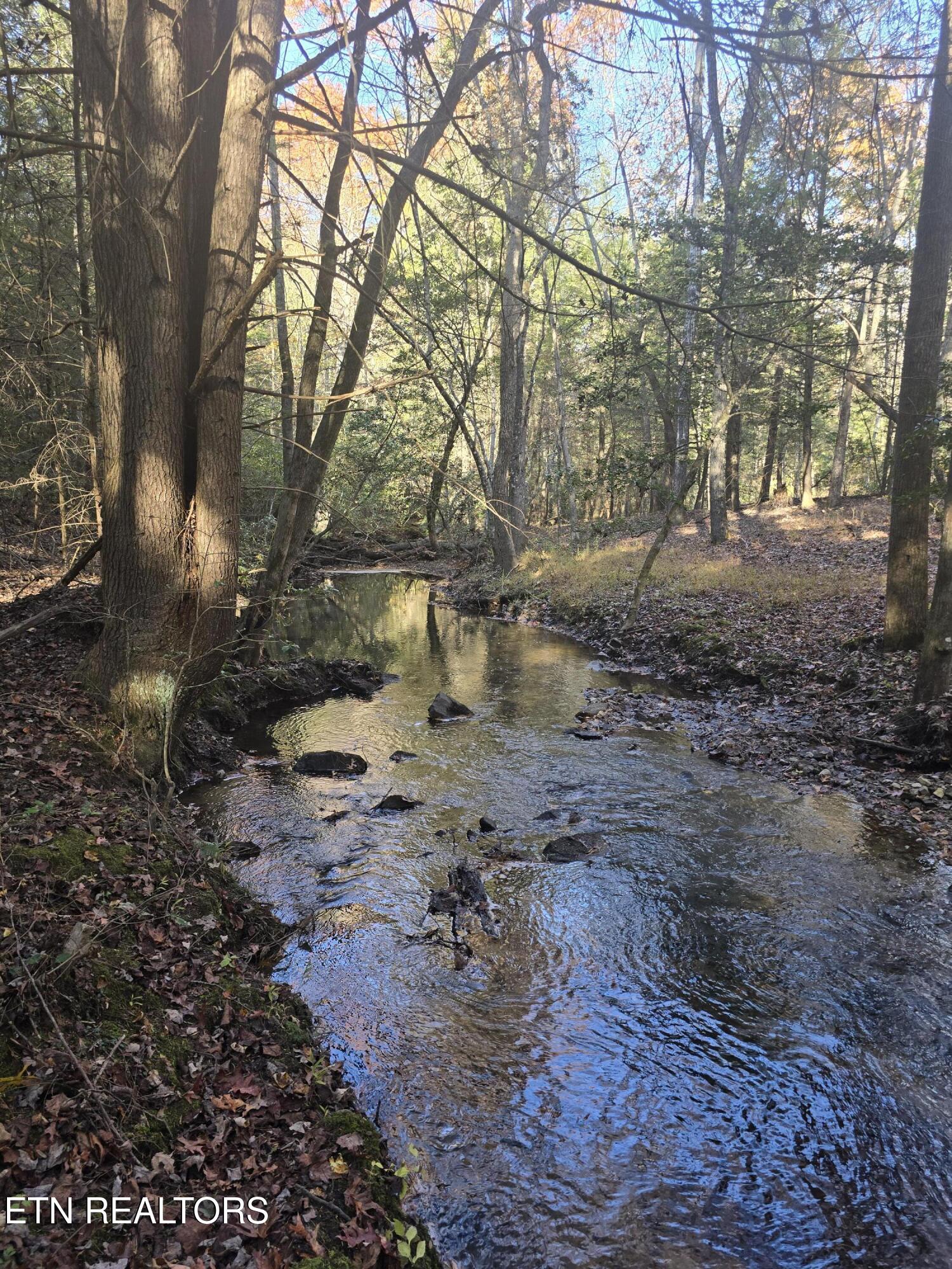 373 Georgee Road Jamestown, TN 38556 - Photo 22 of 30 20251106_141121