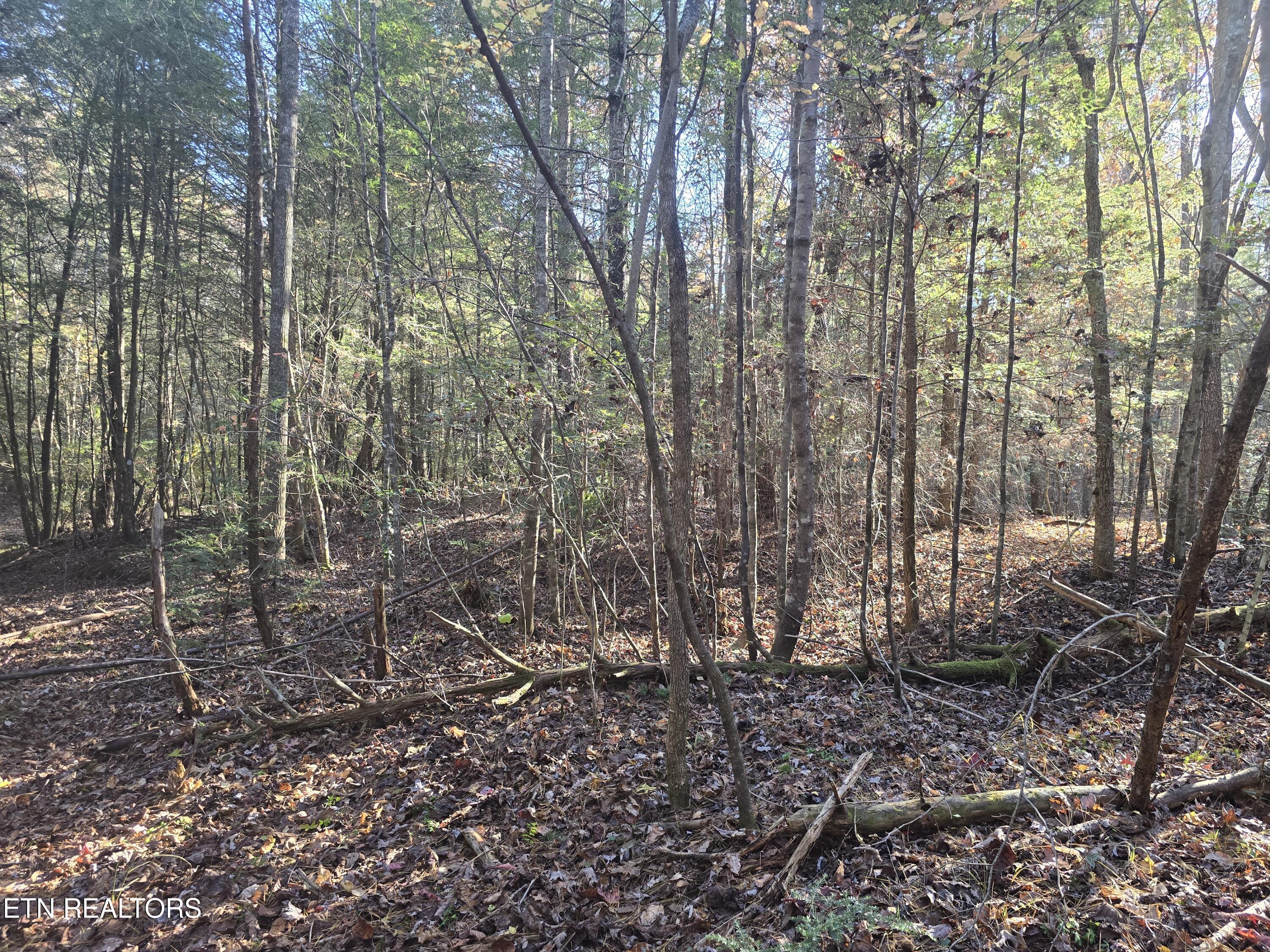 373 Georgee Road Jamestown, TN 38556 - Photo 25 of 30 20251106_141741