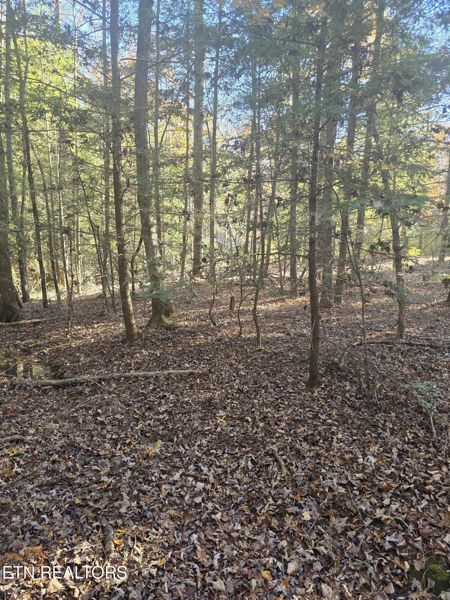 373 Georgee Road Jamestown, TN 38556 - Photo 27 of 30 20251106_141929