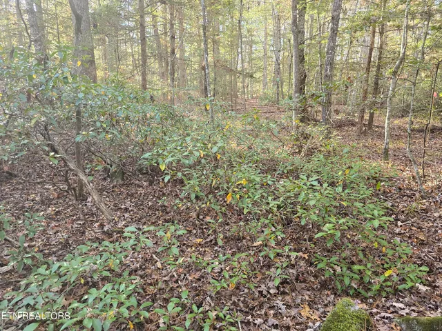 $34,900 | 373 Georgee Road, Jamestown, TN 38556