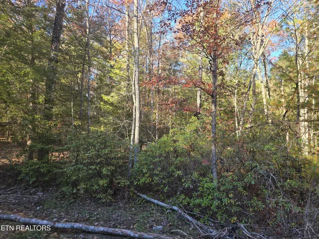 $34,900 | 373 Georgee Road, Jamestown, TN 38556