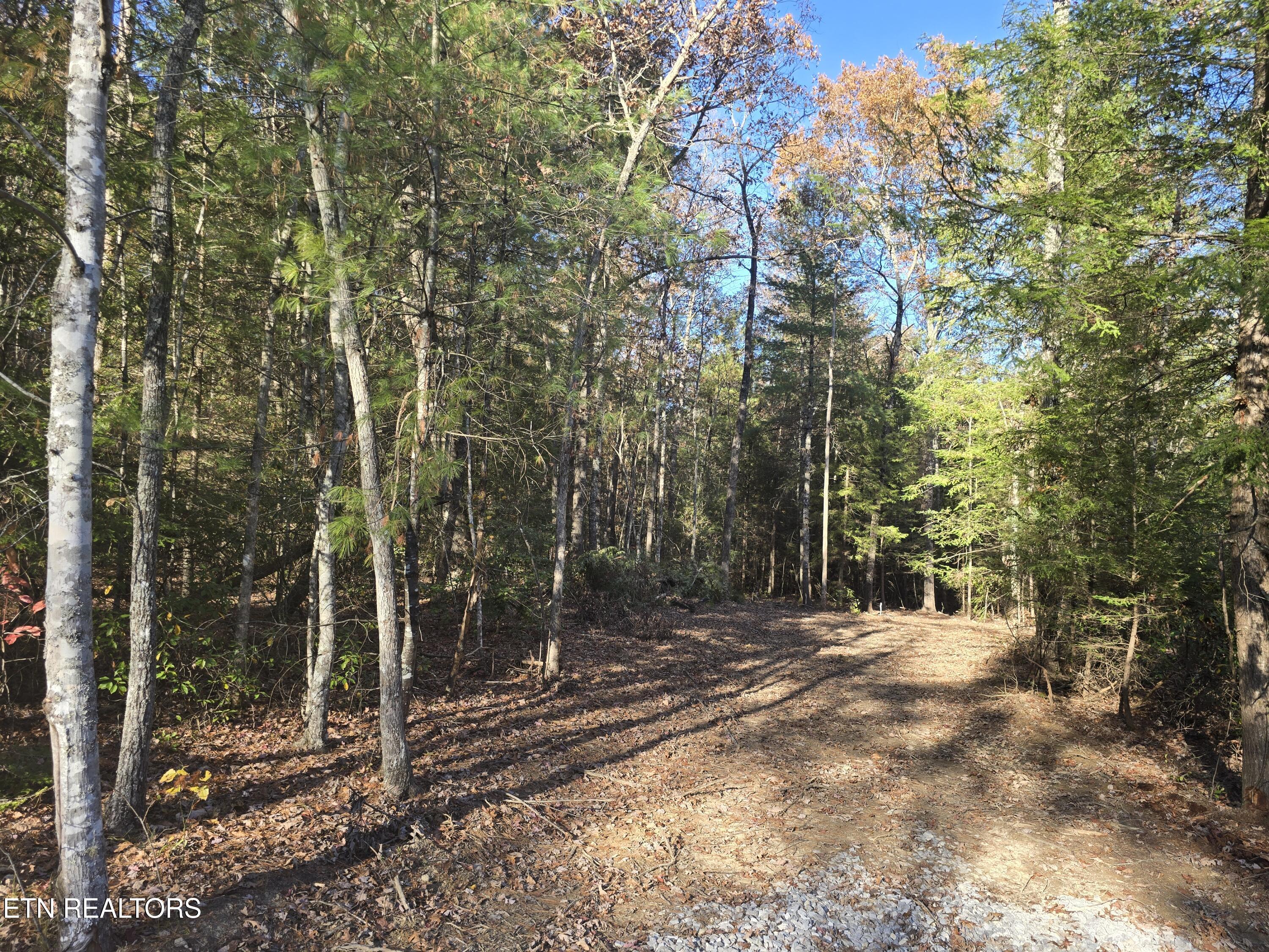 373 Georgee Road Jamestown, TN 38556 - Photo 30 of 30 20251106_142513