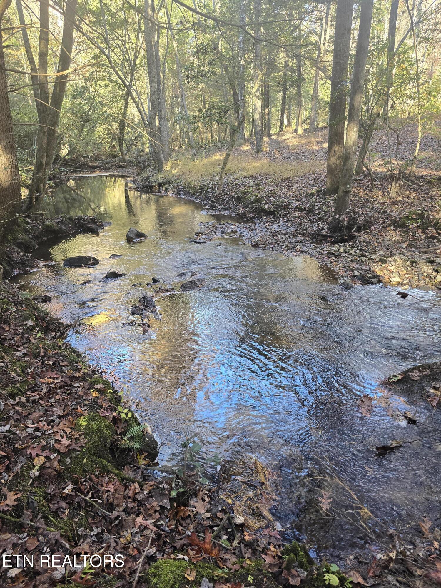 373 Georgee Road Jamestown, TN 38556 - Photo 3 of 30 20251106_141051