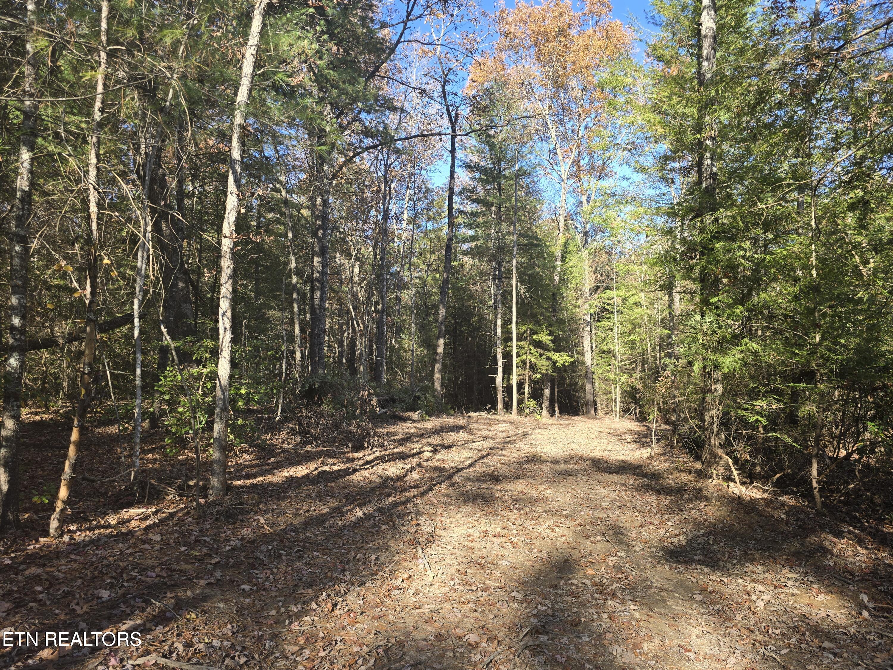 373 Georgee Road Jamestown, TN 38556 - Photo 5 of 30 20251106_135909