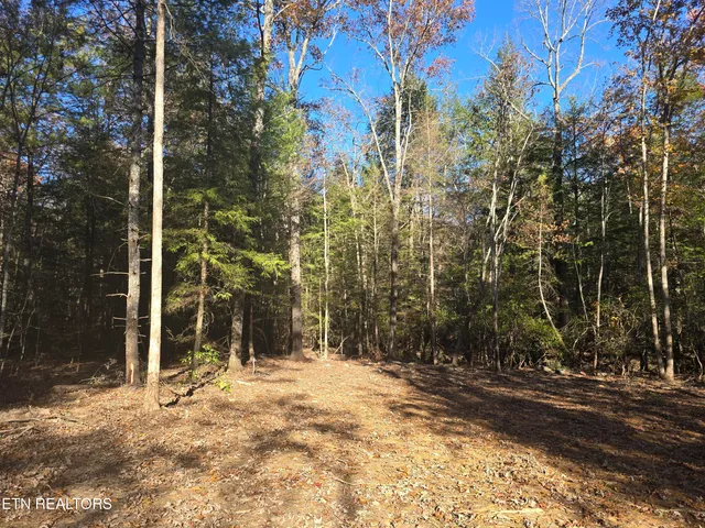 $34,900 | 373 Georgee Road, Jamestown, TN 38556