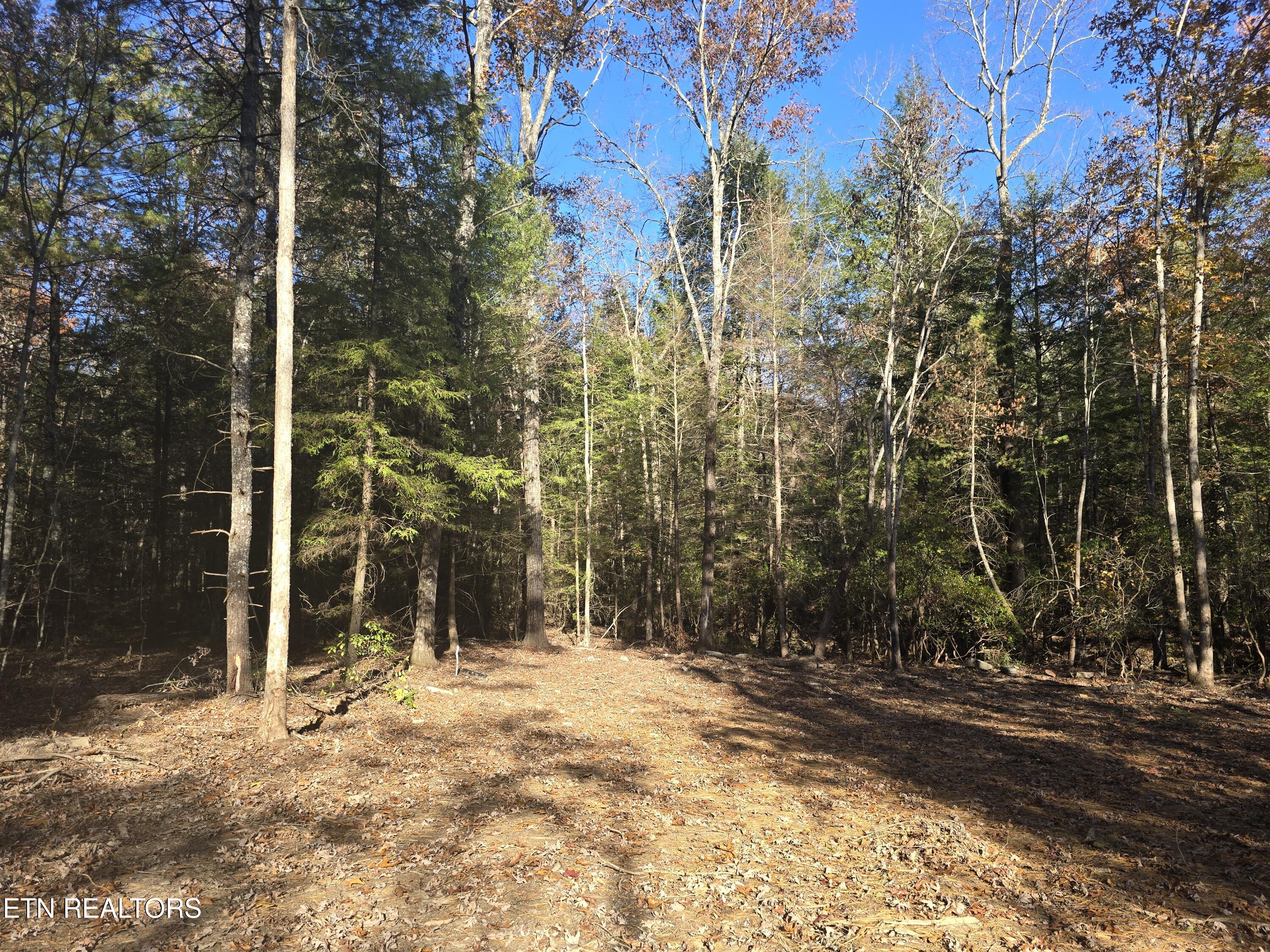 373 Georgee Road Jamestown, TN 38556 - Photo 6 of 30 20251106_140003