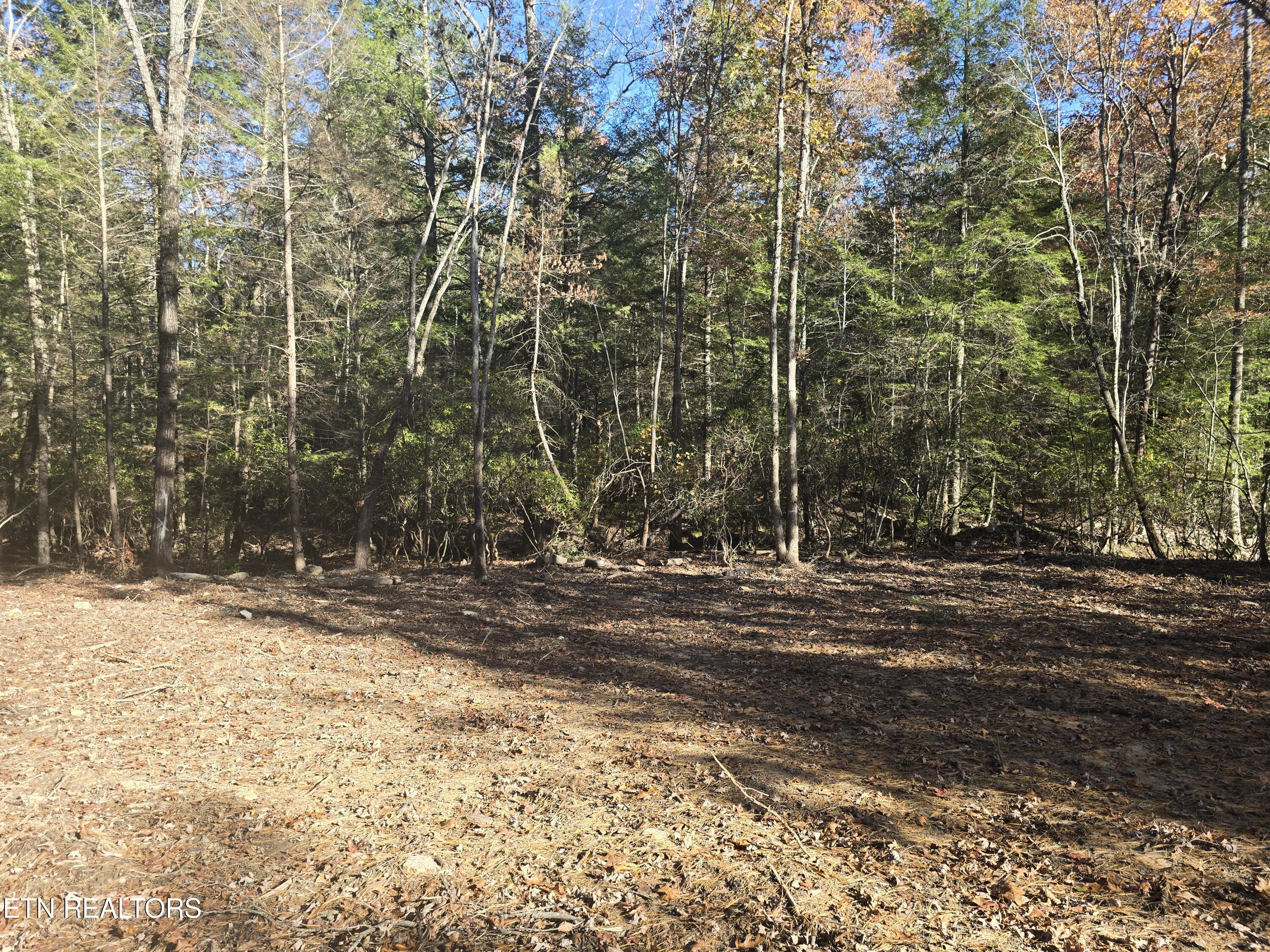 373 Georgee Road Jamestown, TN 38556 - Photo 7 of 30 20251106_140016