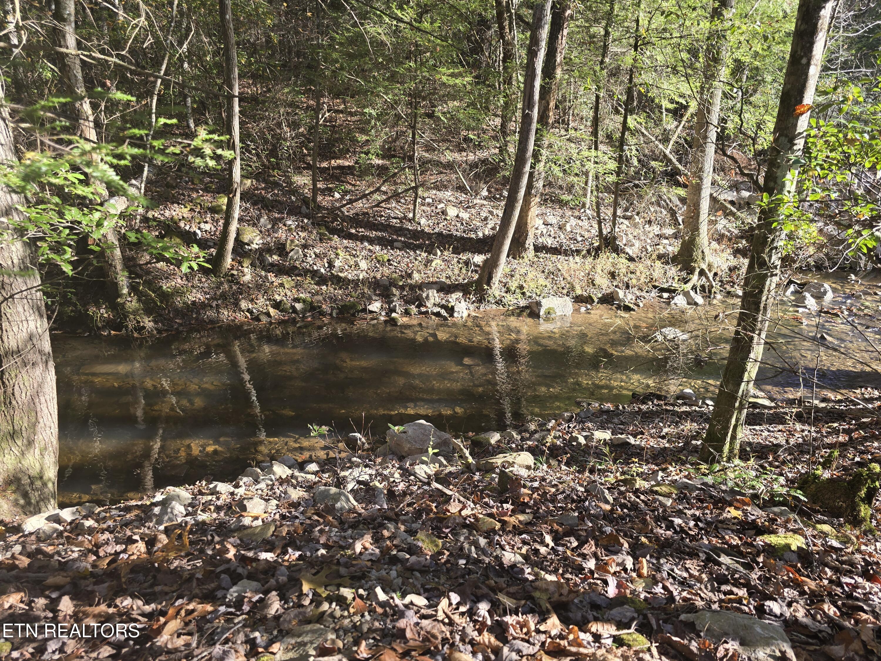 373 Georgee Road Jamestown, TN 38556 - Photo 8 of 30 20251106_140113