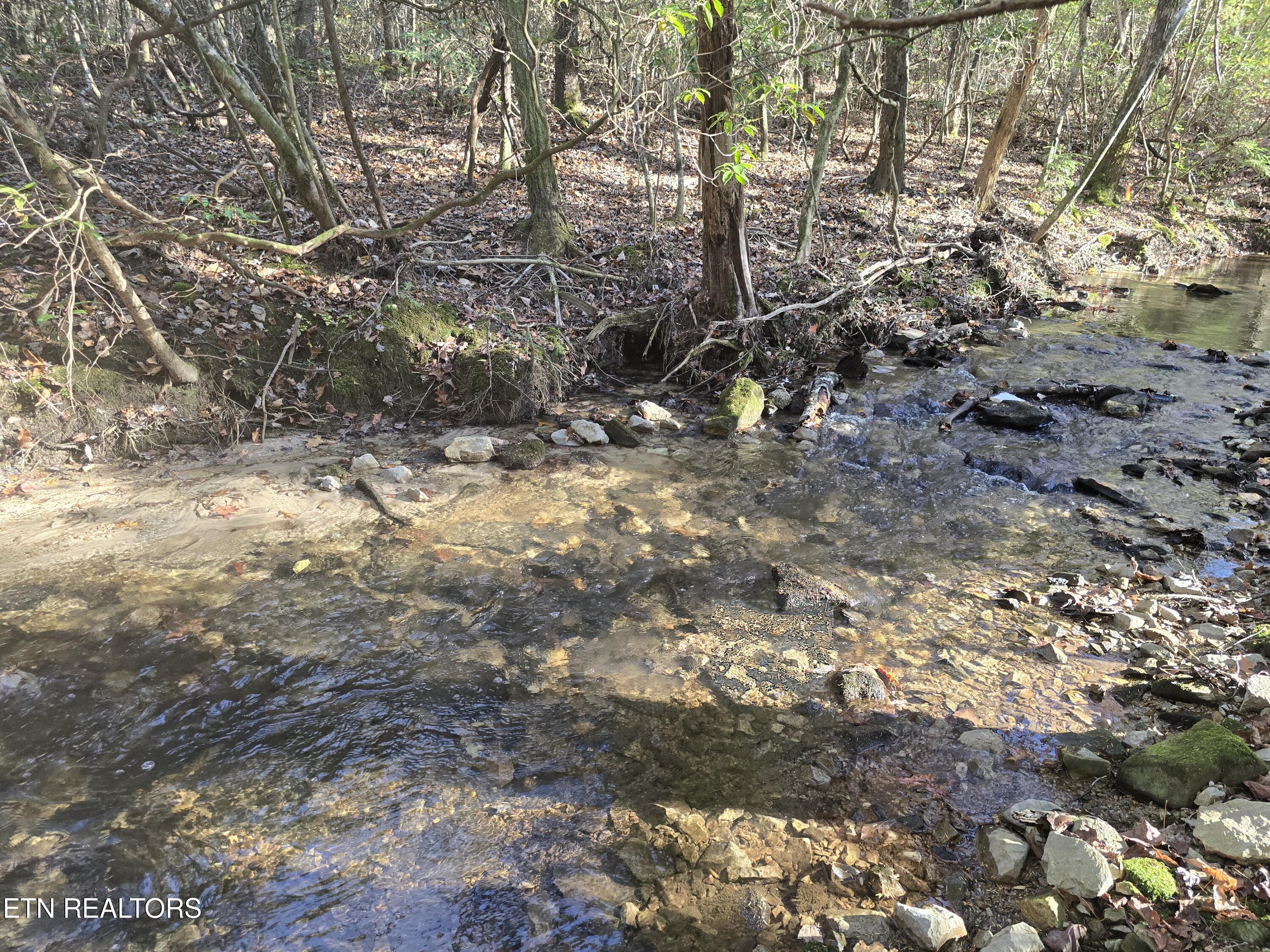 373 Georgee Road Jamestown, TN 38556 - Photo 9 of 30 20251106_140206