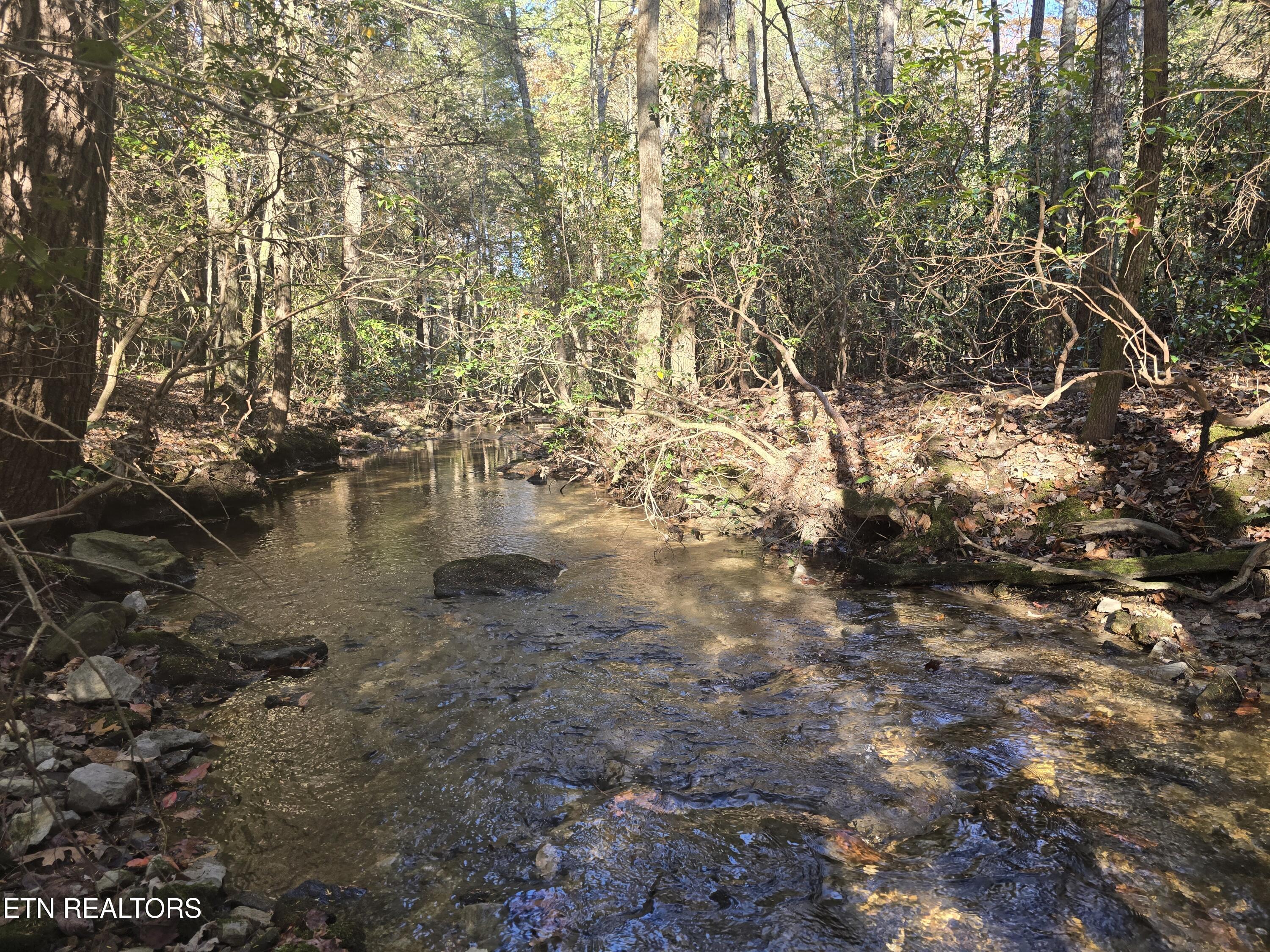 373 Georgee Road Jamestown, TN 38556 - Photo 10 of 30 20251106_140216