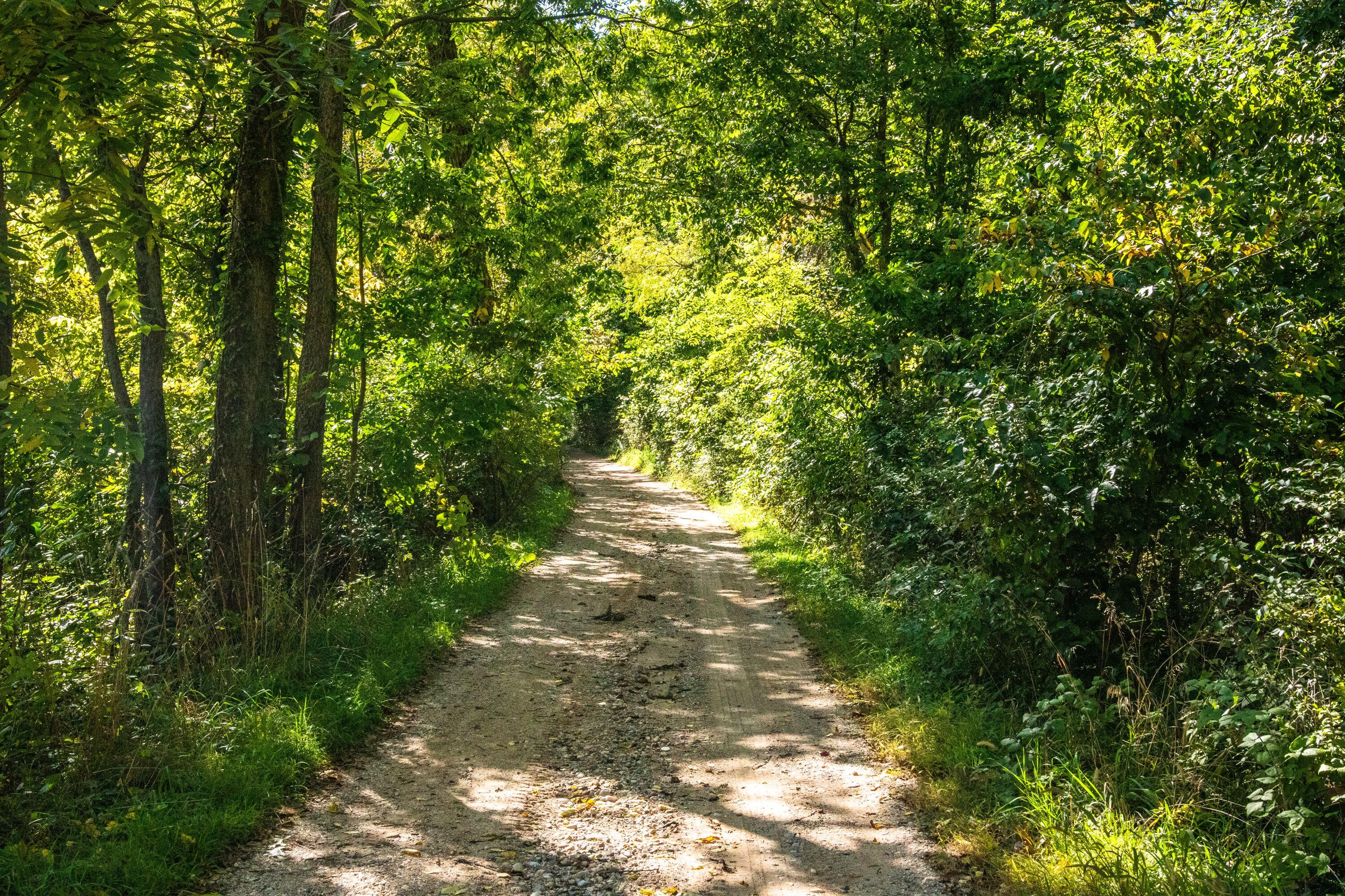 667 Pierce Road Plainwell, MI 49080 - Photo 1 of 25 IMG_0989-1