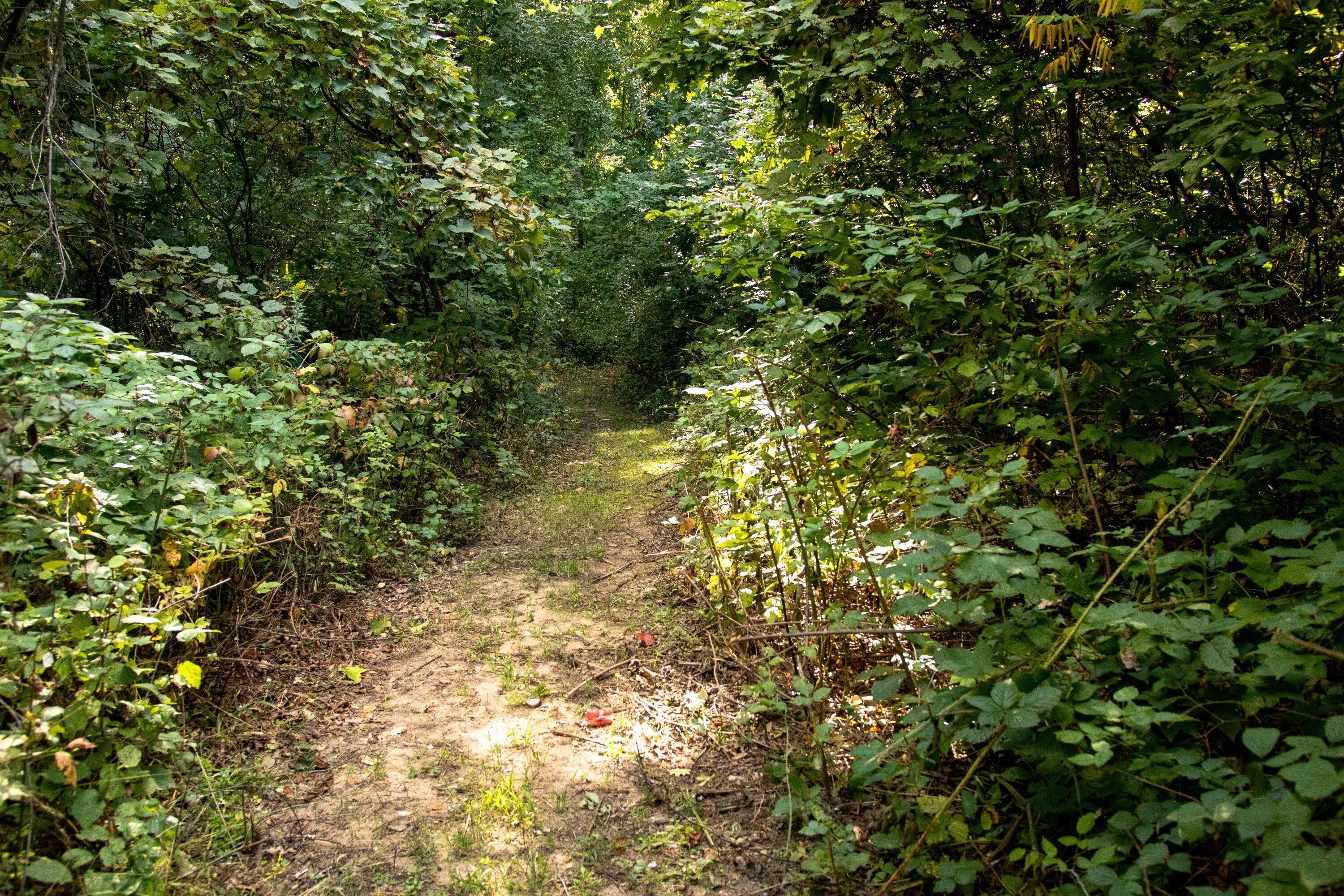 667 Pierce Road Plainwell, MI 49080 - Photo 12 of 25 IMG_1082-1