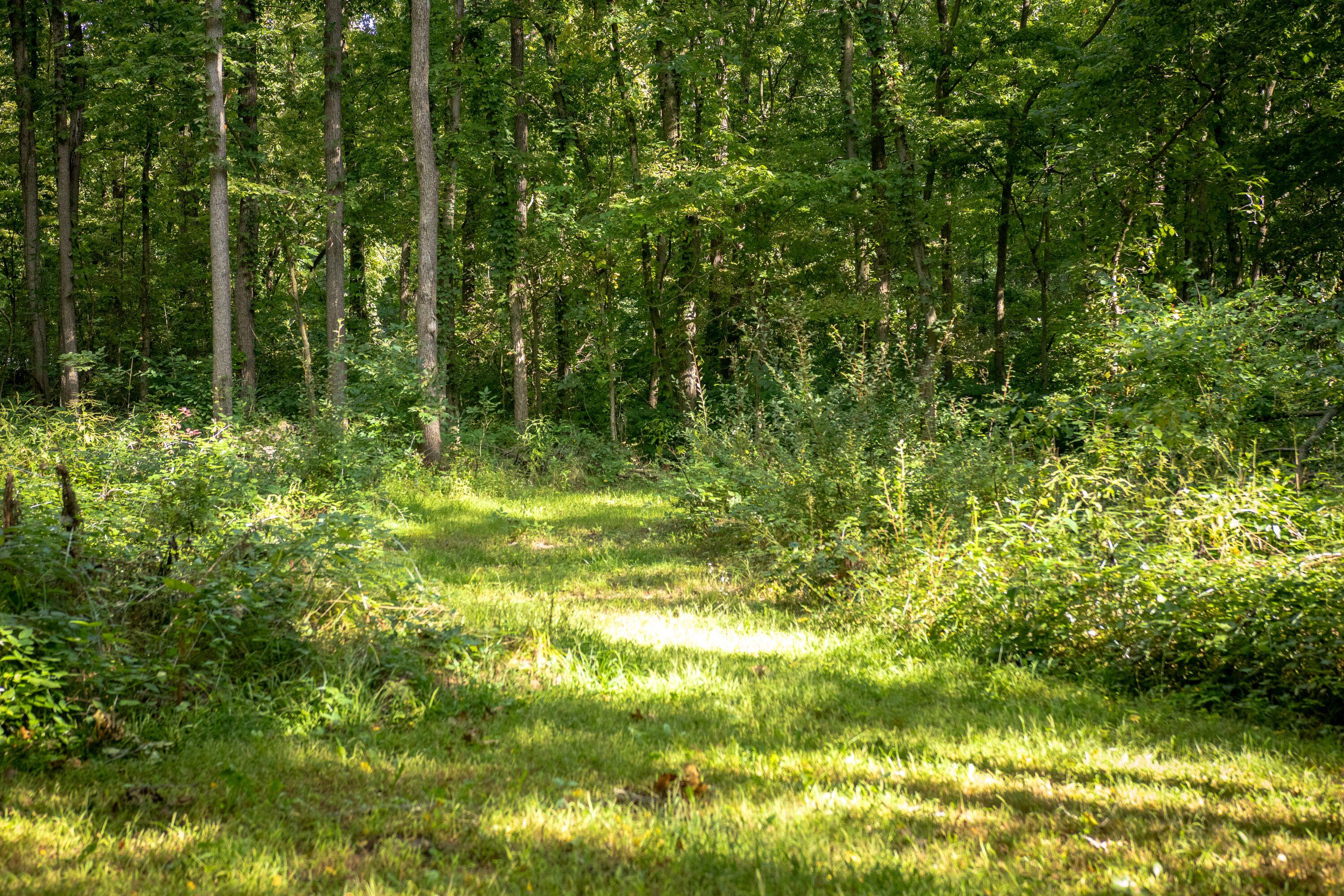 667 Pierce Road Plainwell, MI 49080 - Photo 13 of 25 IMG_1060-1