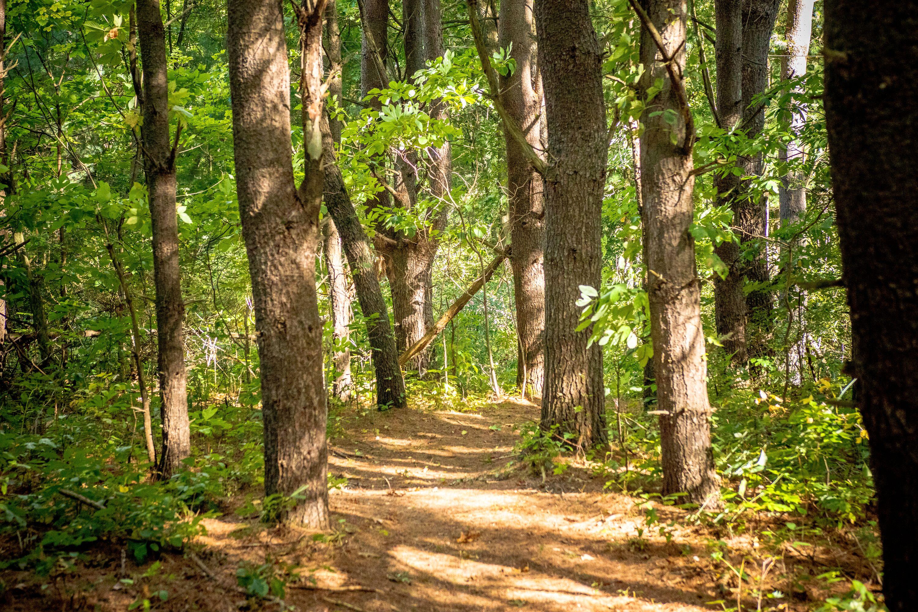 667 Pierce Road Plainwell, MI 49080 - Photo 15 of 25 IMG_1068-1