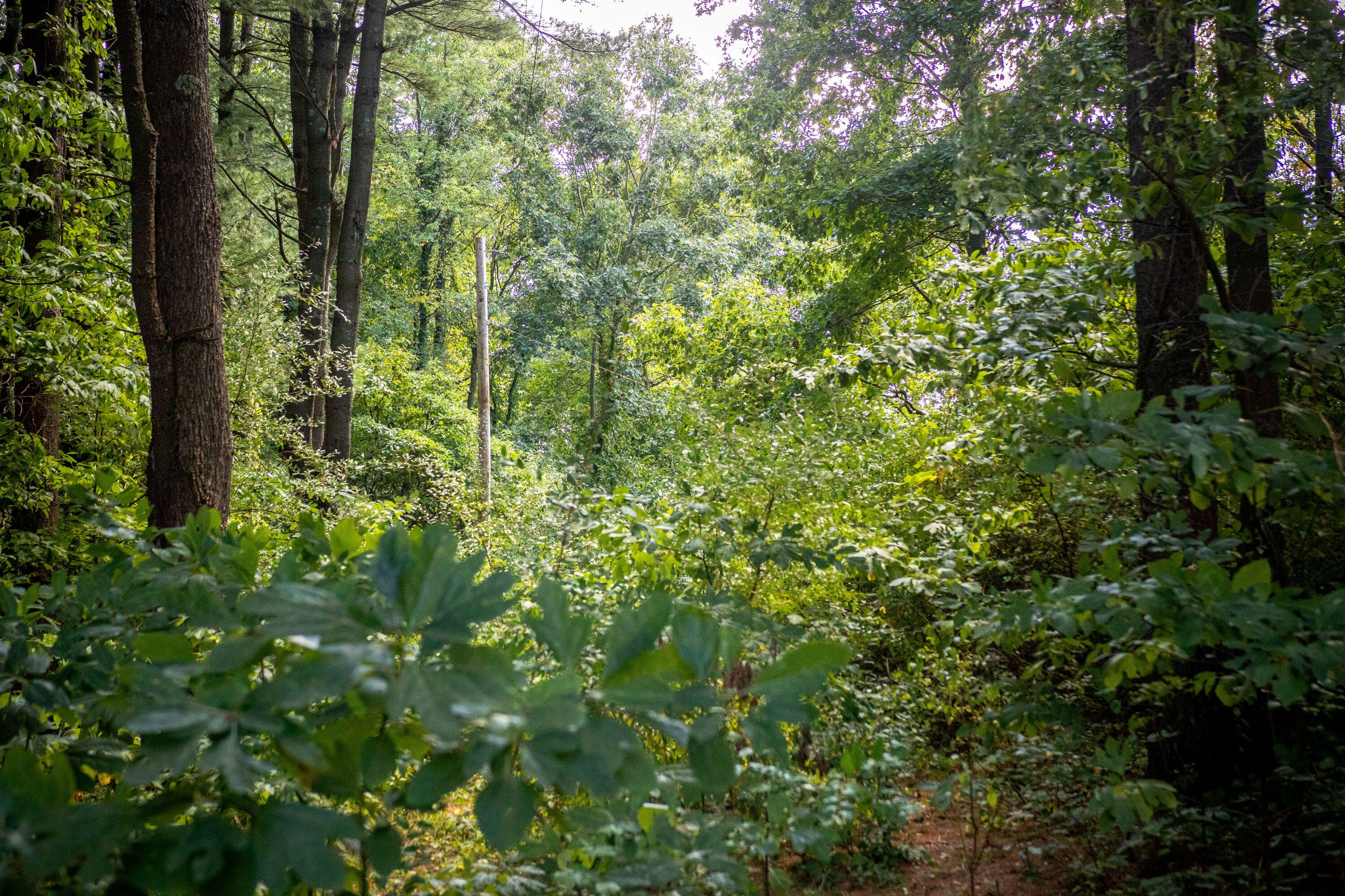 667 Pierce Road Plainwell, MI 49080 - Photo 16 of 25 IMG_1070-1