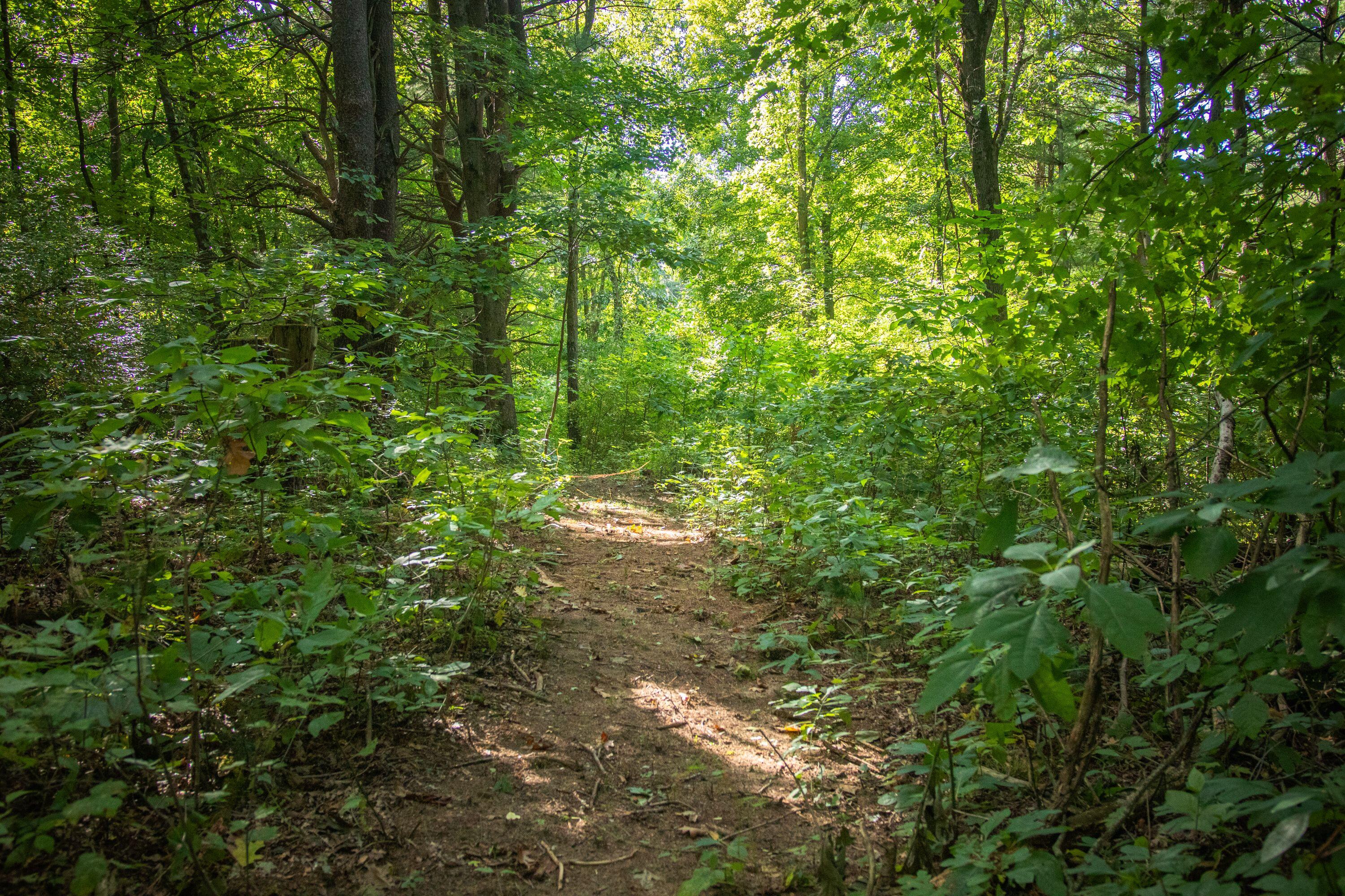 667 Pierce Road Plainwell, MI 49080 - Photo 20 of 25 IMG_1041-1