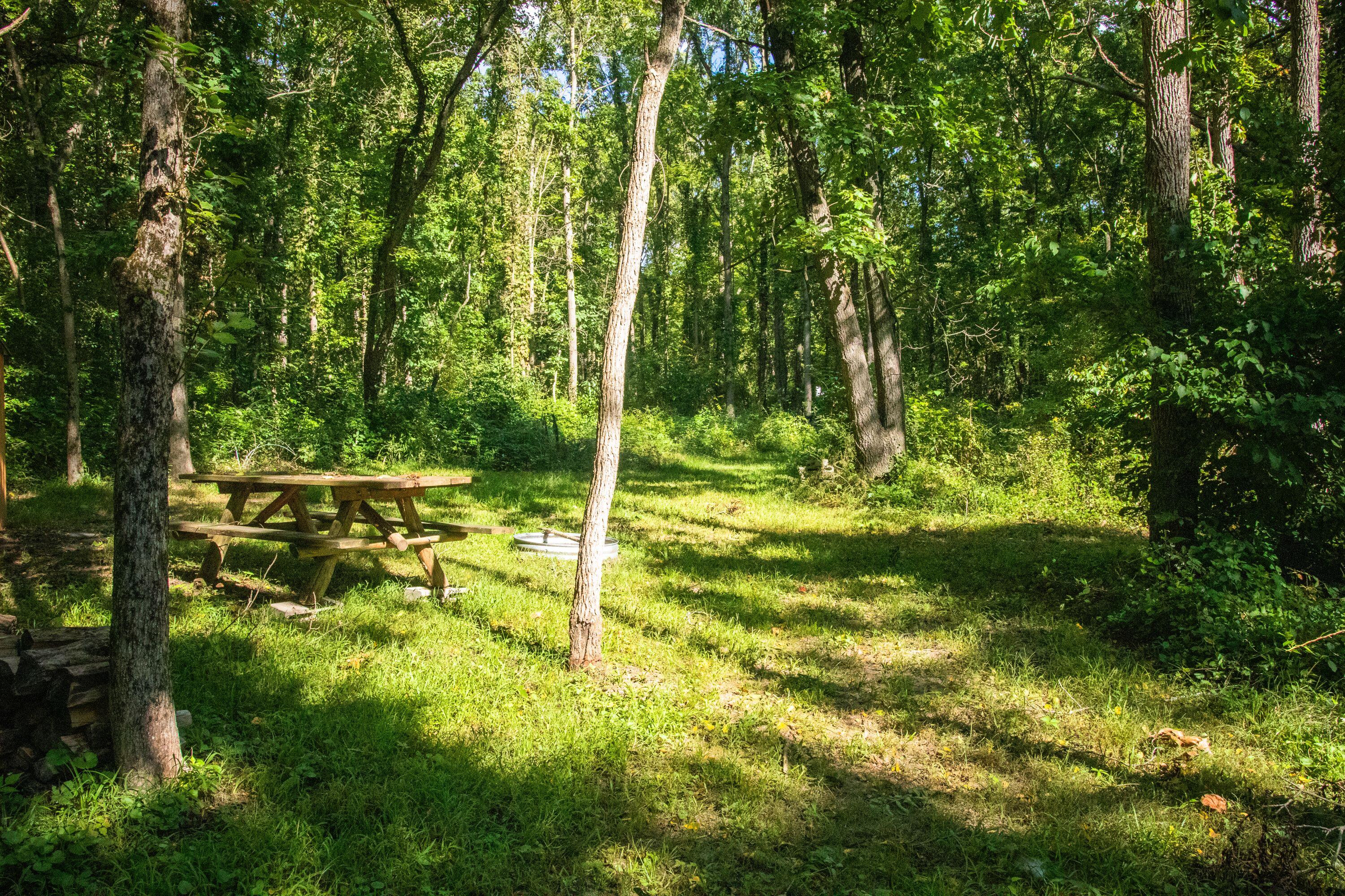 667 Pierce Road Plainwell, MI 49080 - Photo 2 of 25 IMG_0992-1