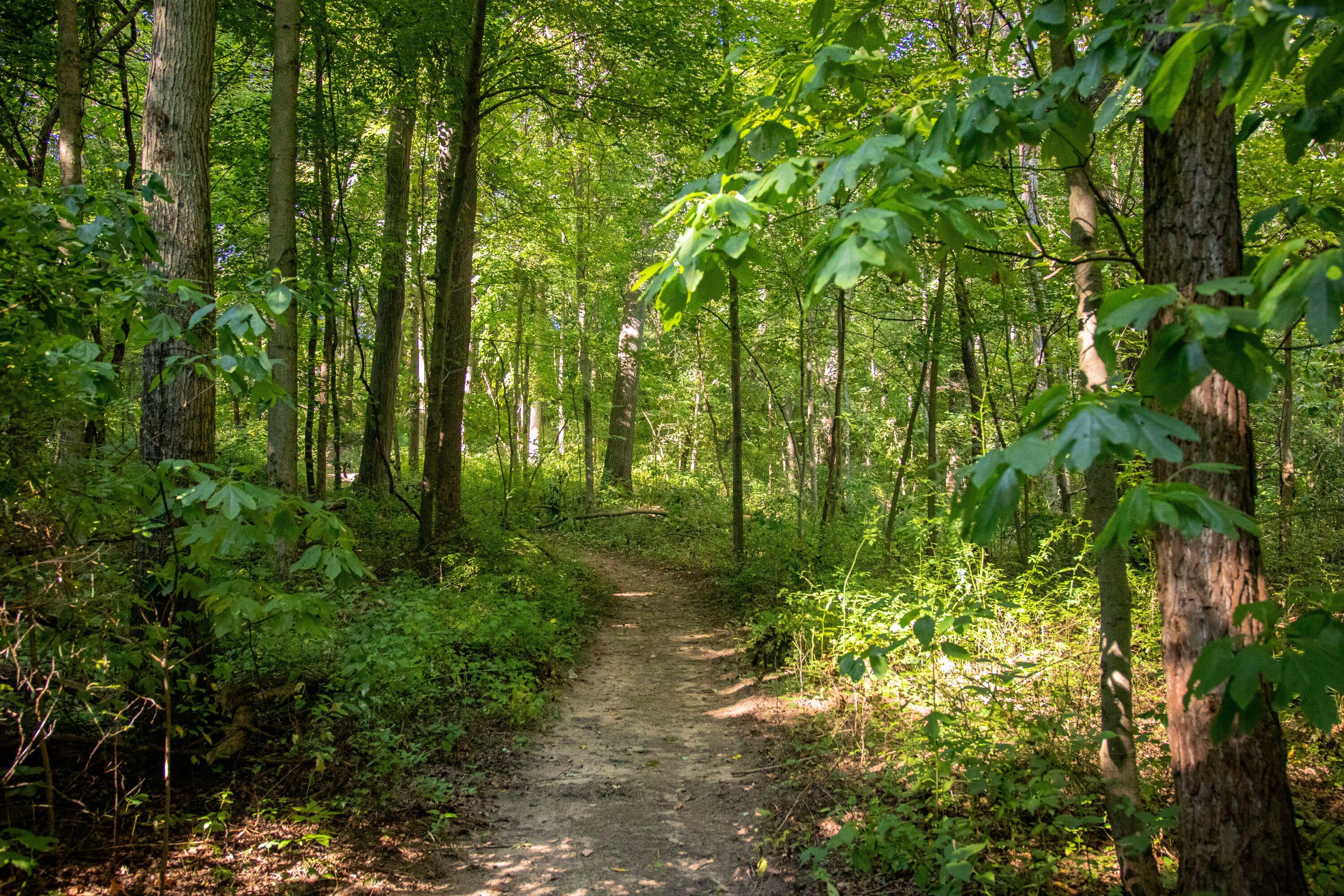 667 Pierce Road Plainwell, MI 49080 - Photo 23 of 25 IMG_1052-1