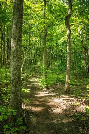 $250,000 | 667 Pierce Road, Plainwell, MI 49080