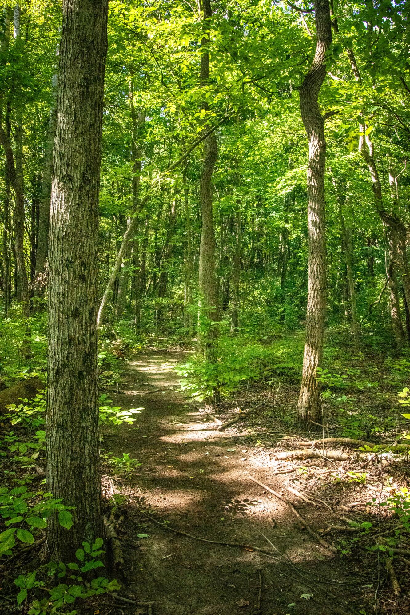 667 Pierce Road Plainwell, MI 49080 - Photo 24 of 25 IMG_0995-1