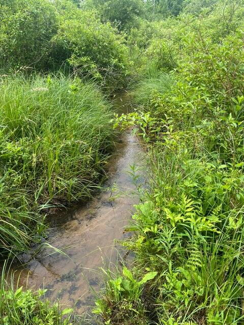 667 Pierce Road Plainwell, MI 49080 - Photo 5 of 25 Pierce Road -2