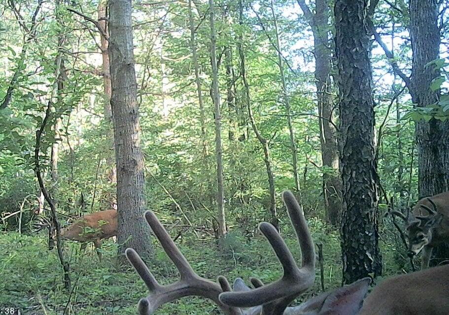 667 Pierce Road Plainwell, MI 49080 - Photo 9 of 25 Cam pic 4