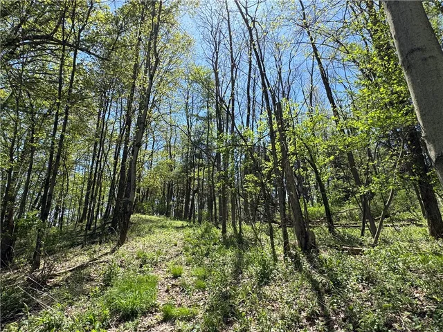 $299,000 | 2395 State Hwy Mount, Mount Vision, NY 13810