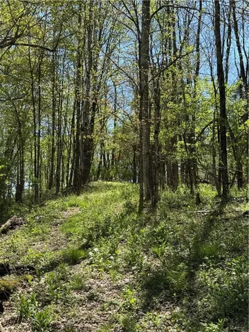 $299,000 | 2395 State Hwy Mount, Mount Vision, NY 13810