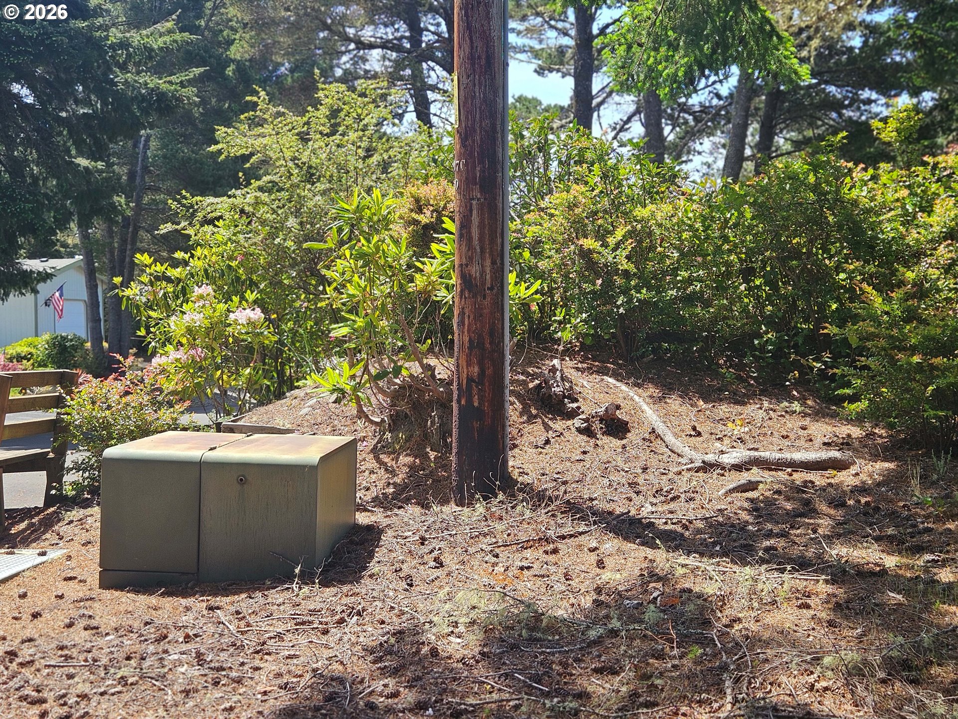 1600 Rhododendron Drive, Unit 214 Florence, OR 97439 - Photo 27 of 38 a view of a backyard with plants and tree