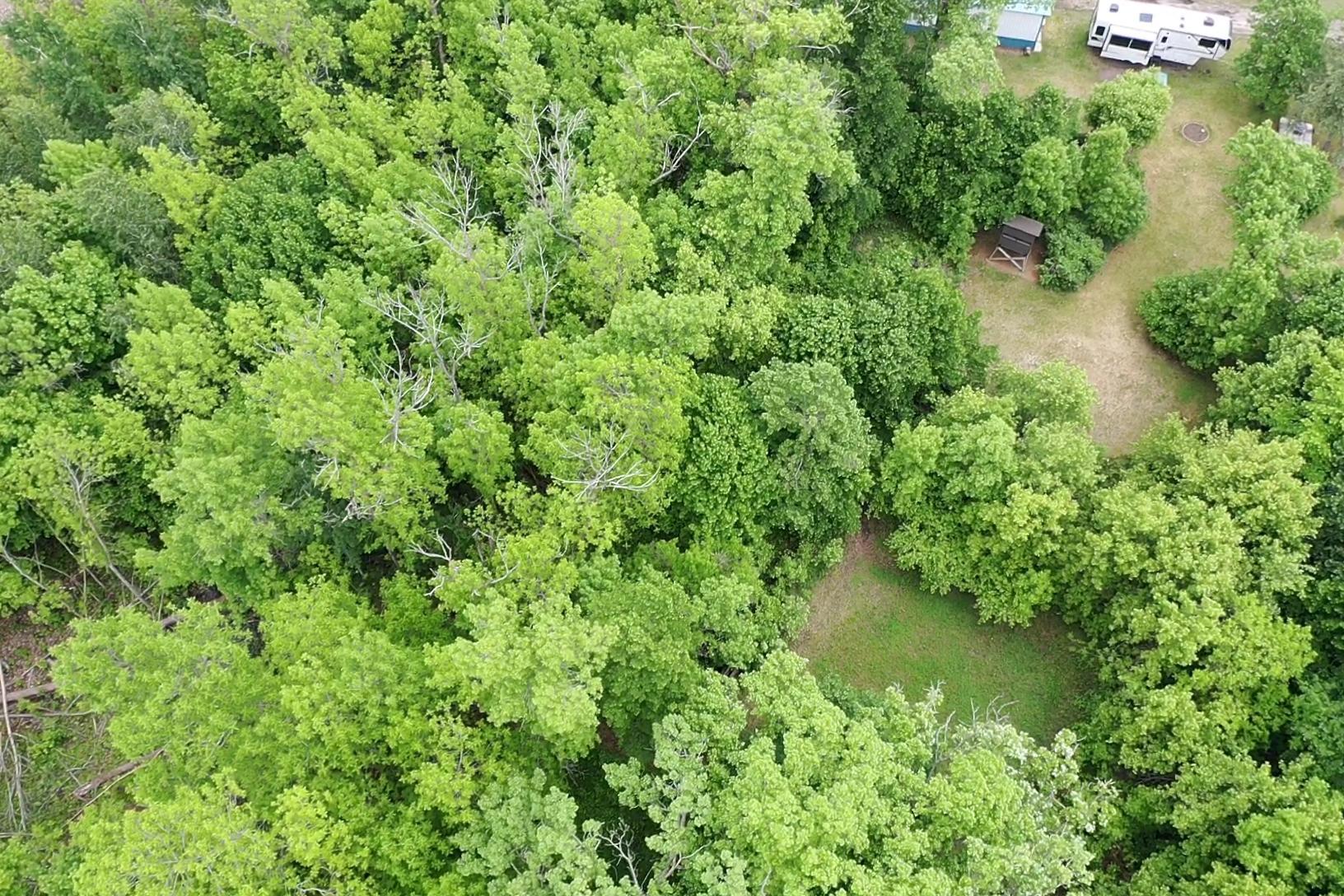 43931 355th Street Ottertail, MN 56571 - Photo 5 of 50