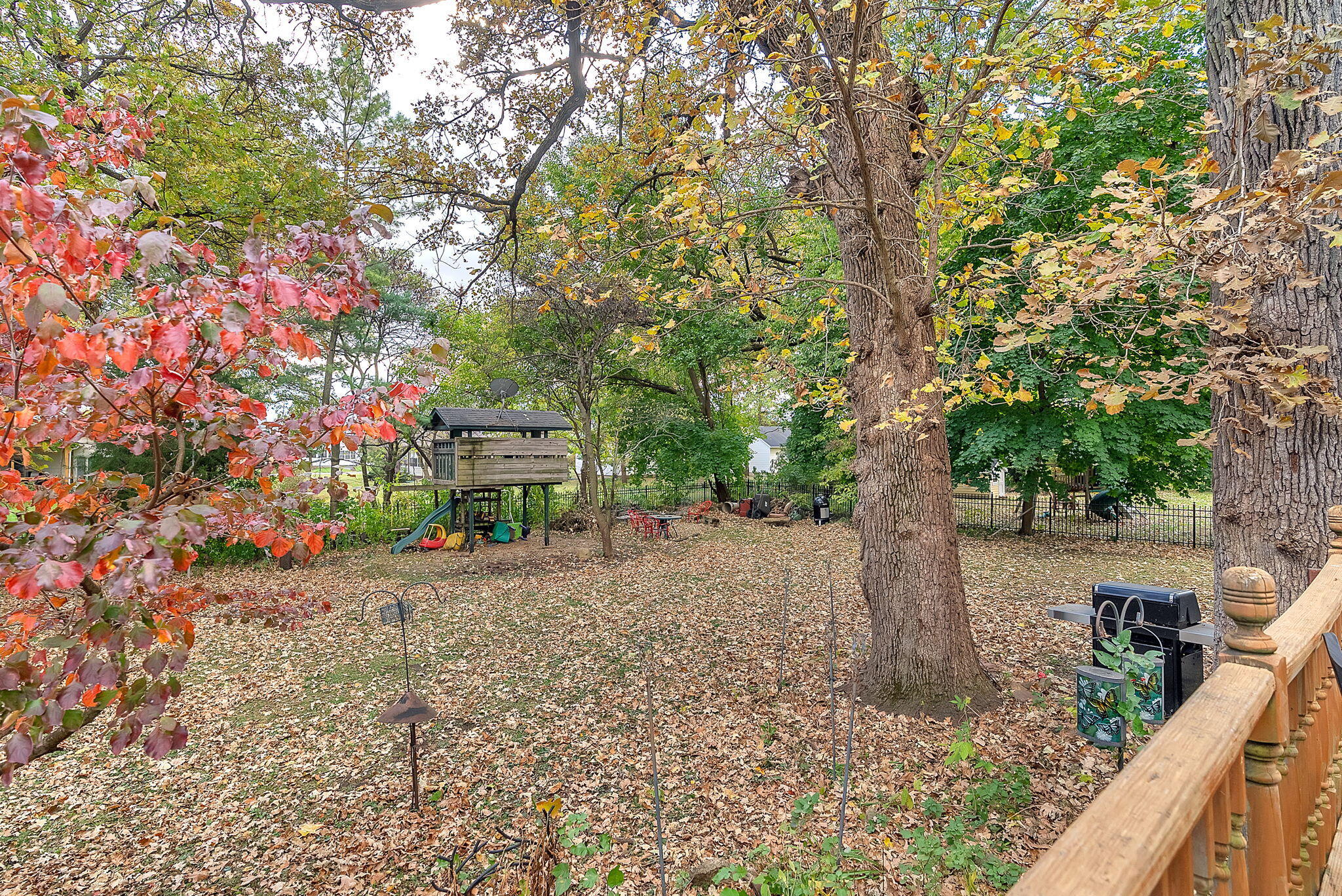 623 West Milroy Avenue Rensselaer, IN 47978 - Photo 51 of 58 a backyard of a house with lots of green space