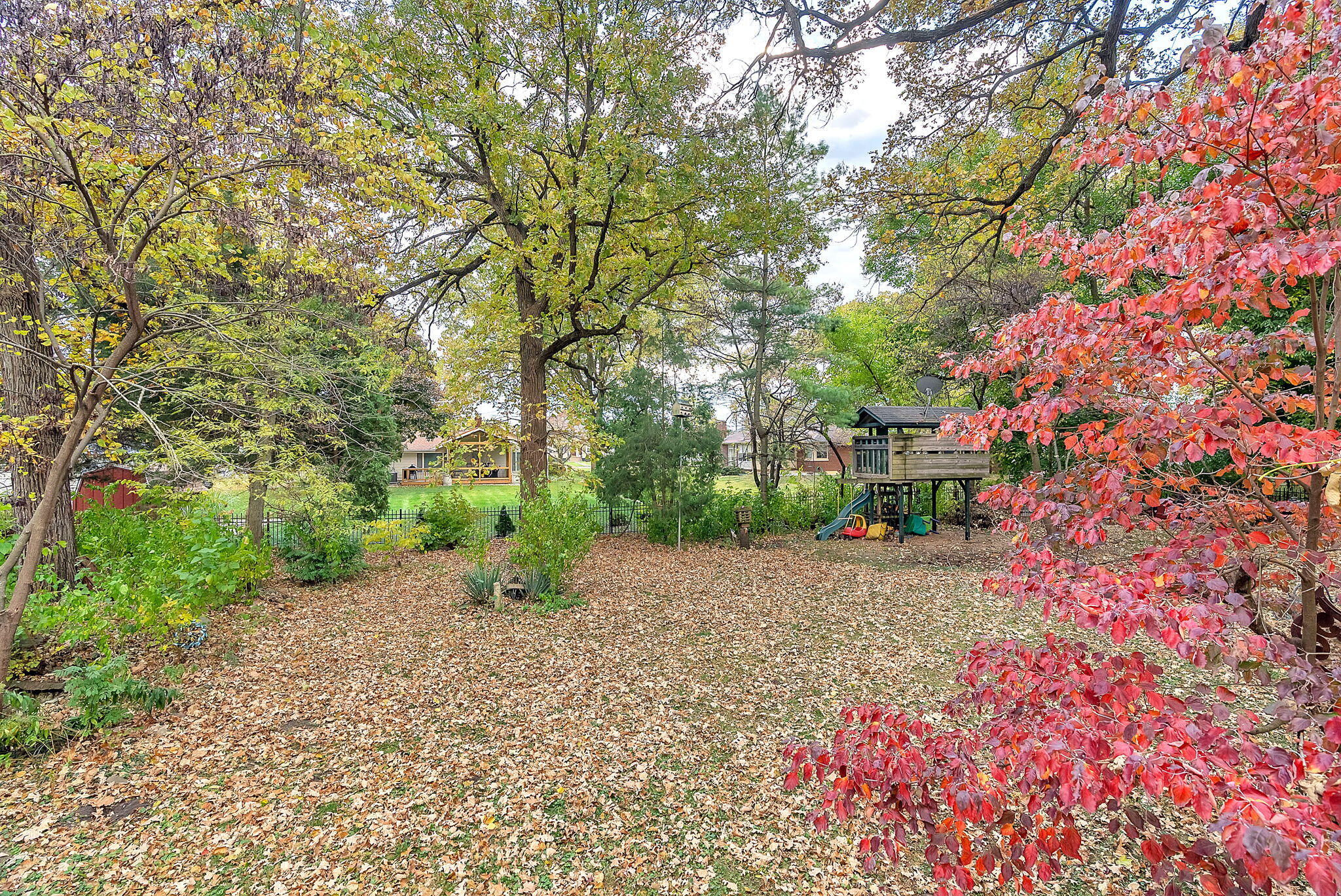 623 West Milroy Avenue Rensselaer, IN 47978 - Photo 52 of 58 a backyard of a house with lots of green space