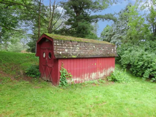 a view of a yard with an tree