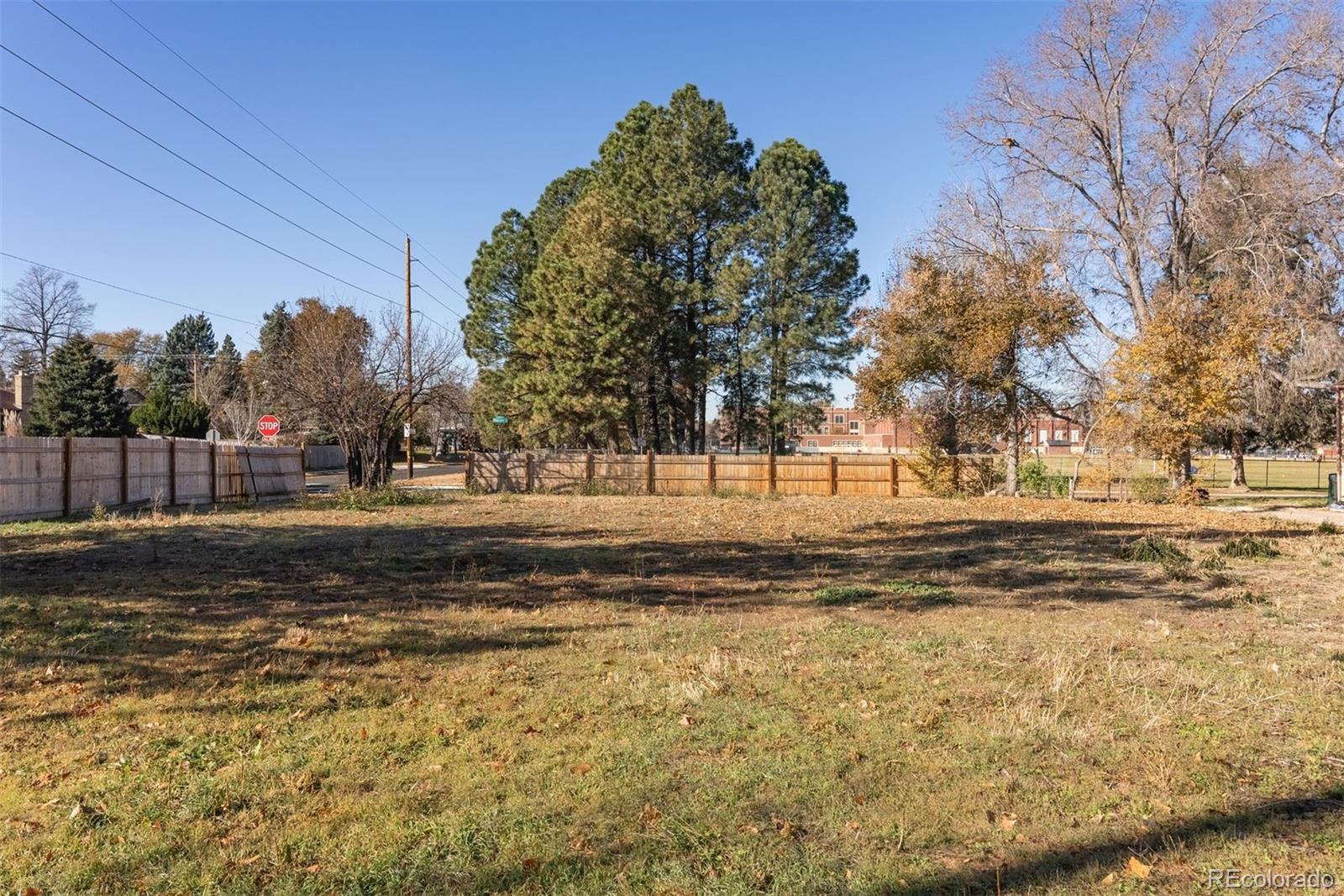 2500 Kearney Street Denver, CO 80207 - Photo 21 of 24 a view of dirt yard with a large trees