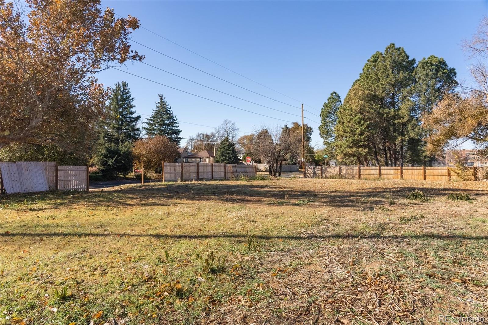 2500 Kearney Street Denver, CO 80207 - Photo 22 of 24 a view of yard with trees