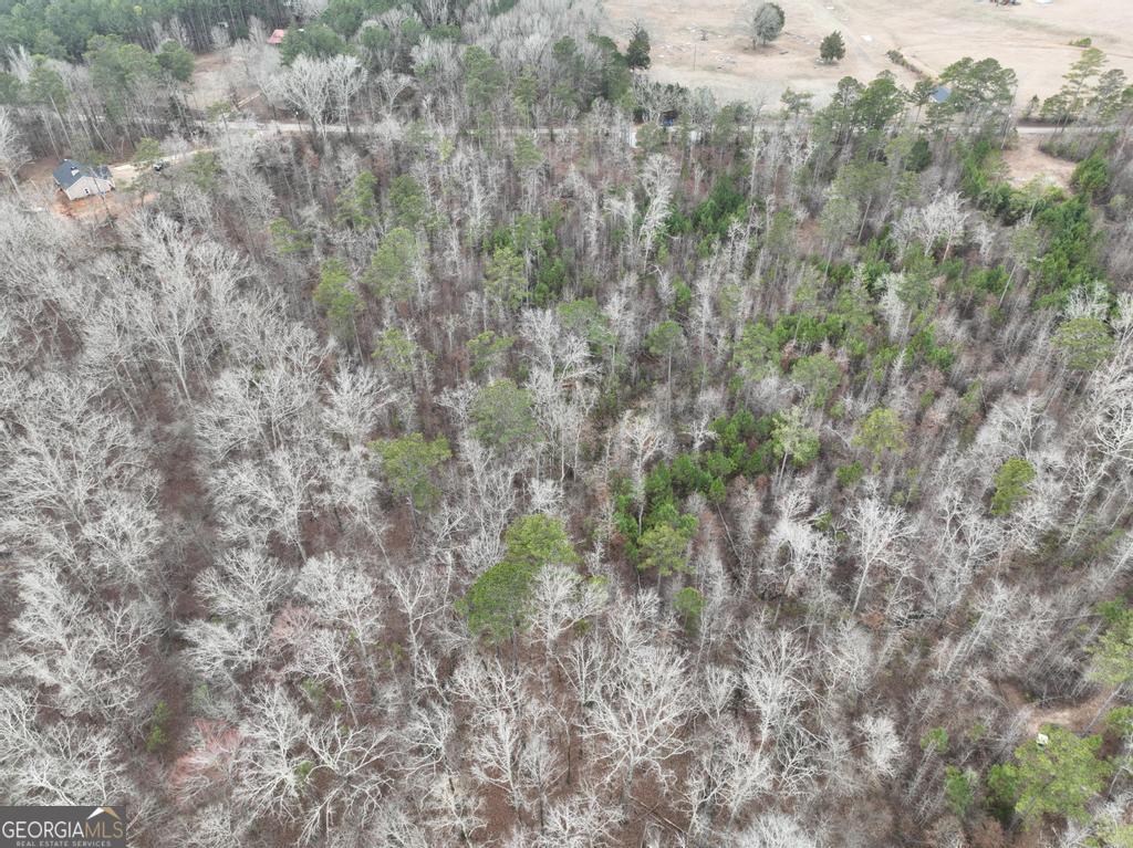 183 Rock Creek Road Flovilla, GA 30216 - Photo 5 of 10 a view of a dry yard with trees and wooden fence