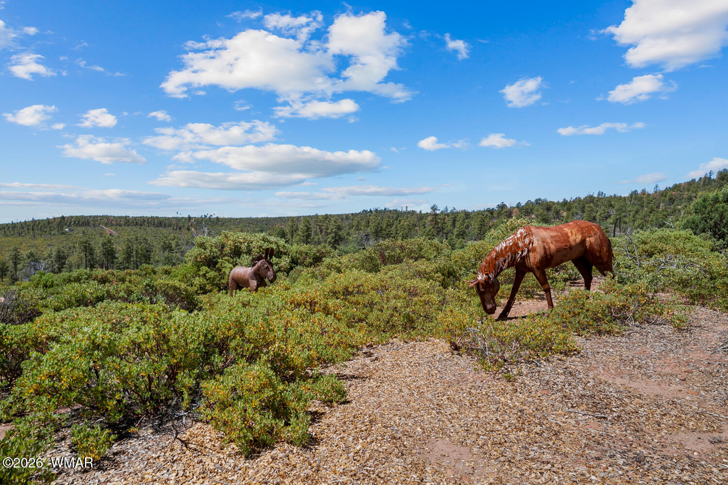 512 Fieldy Road Show Low, AZ 85901 - Photo 103 of 128 Horse Statues