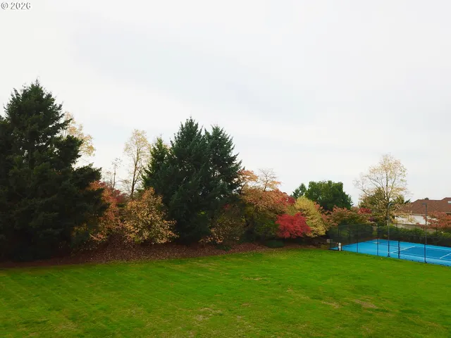 a backyard of a house with lots of green space