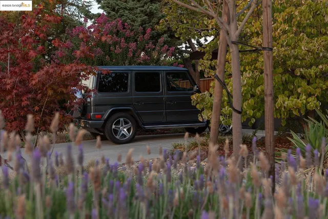 a view of a car in a yard