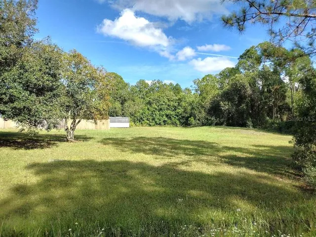 a view of outdoor space with trees all around
