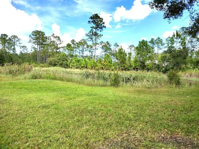 a view of a garden with a lake