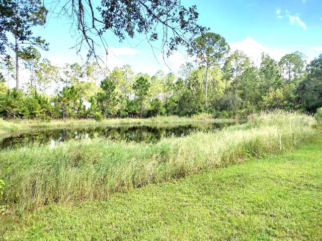 a view of a lake with a yard and large trees
