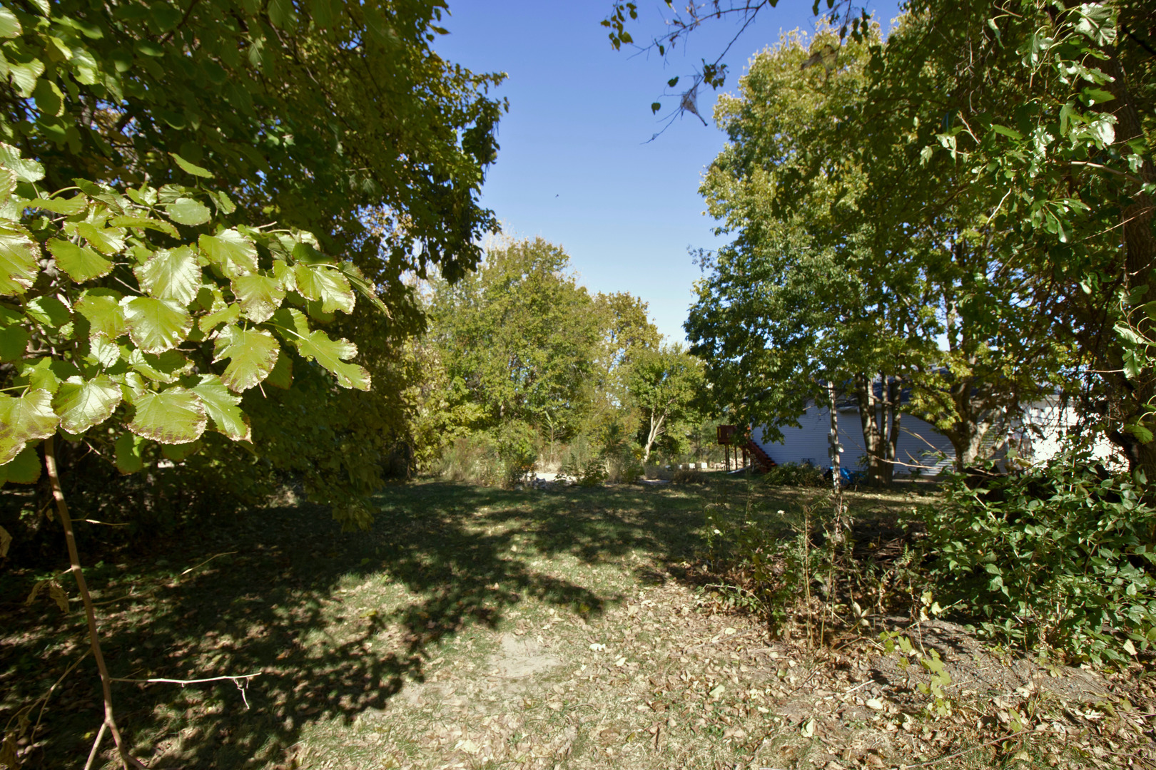 128 Mill Street Marseilles, IL 61341 - Photo 4 of 6 a view of a tree